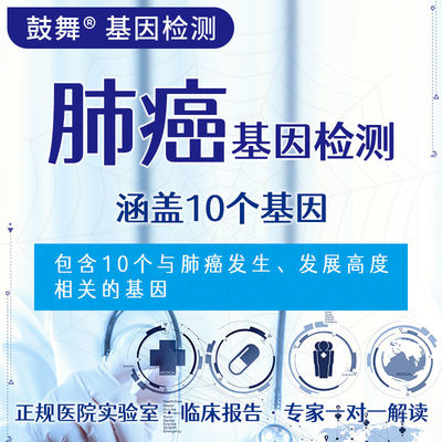 주문 NGS 10 유전자 검사 10 폐암 위험에 대한 표적 유전자 검사 online manufacture