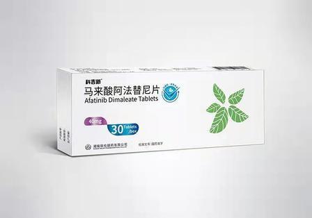 주문 아파티니브 말레아트 태블릿 40mg NSCLC 치료의 첫 번째 라인 EGFR HER2 HER4 TKI 차단제 온라인 제조