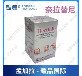 피에르 파브르 DIL 비콘 네이라티니브 HKI-272 헤르닉스 40mg*180錠 유방암 1단계 2단계 3단계 암