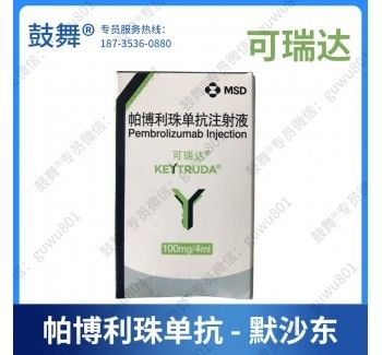 MSD 페브로리즈마브 MK3475 키트루다 100mg/4mL 태블릿 비 소세포 폐암, 소세포 폐암, 대장암, 위암, 식도암, 간세포암